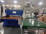 Full Automatic PVC/PET/PE/PS plastic blister Hydraulic Die Cutting Machine With Mechanical Claw